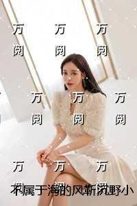 不属于海的风靳沉野后续完整大结局