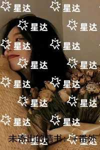 未寄出的情书:后续+无弹窗