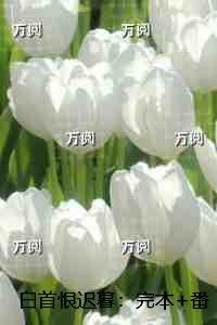 白首恨迟暮：后续全文免费阅读