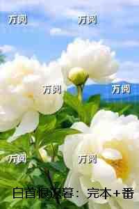 白首恨迟暮：无删减+无广告