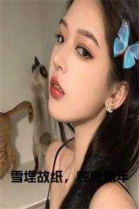 雪埋故纸，烛烬流年