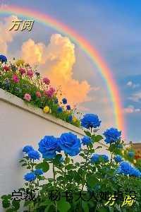 总裁，秘书大人她真没欲擒故纵：小说大结局