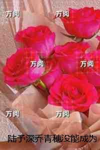 陆予深乔青穗没能成为你的月亮:精选小说