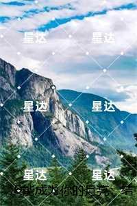 没能成为你的月亮:小说