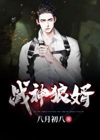 神龙佳婿/战神狼婿/杀神守夜人