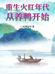 重生火红年代,从养鸭开始