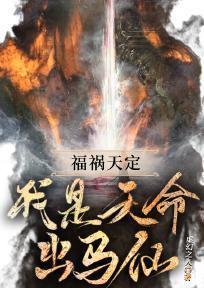 女总裁的上门女婿(又名:叶凡)