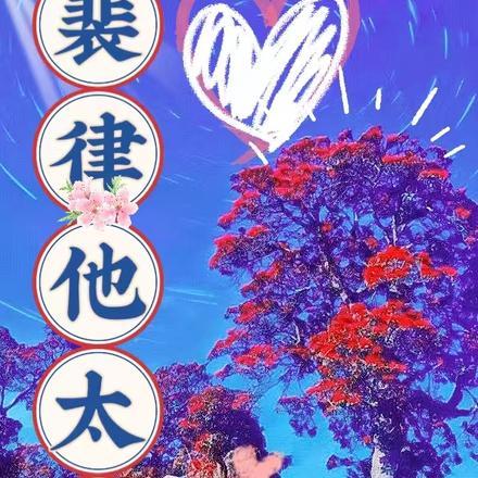 夫人,我劝你认命