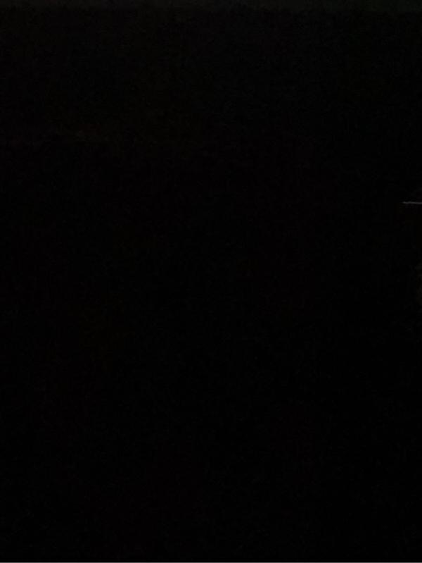 异界之魔兽霸主