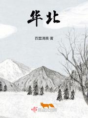 前妻撩人,容总他超爱