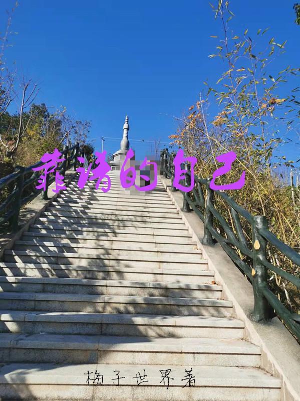 末世:漂亮直男哭着求放过