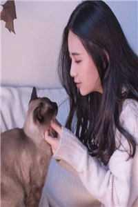 触手攻揣蛋该挂什么科?