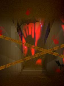 四合院:投奔贾家被辱,日子红红火火