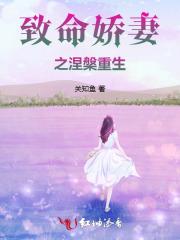 快穿:跪求男主别黑化