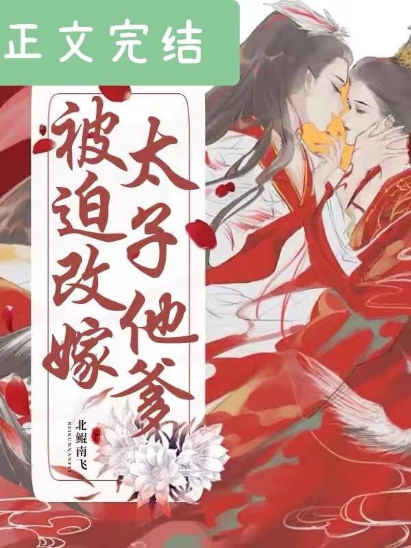 被迫改嫁太子他爹(清穿)