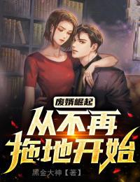 废婿崛起:从不再拖地开始