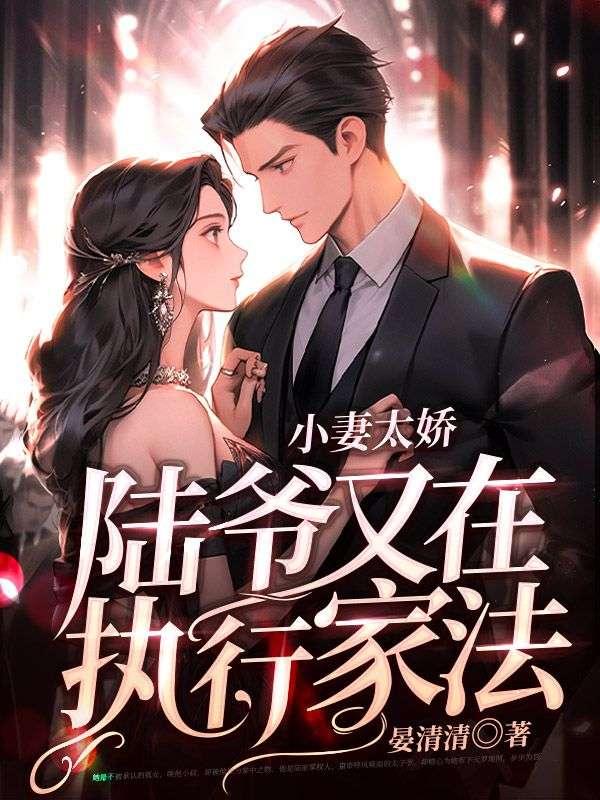 小妻太娇,陆爷又在执行家法