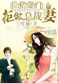 掠情豪门:拒做总裁妻