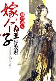 相府恶女:嫁个皇子好发财