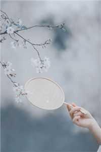 都市:修仙归来,无上至尊高质量小说