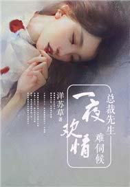 一夜欢情:总裁先生难伺候