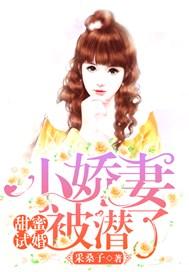 甜蜜试婚:小娇妻,被潜了