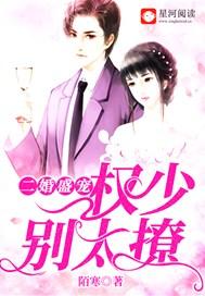 二婚盛宠:权少别太撩