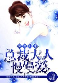 前妻归来,总裁大人慢慢爱