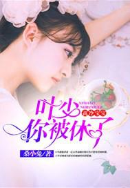 高冷宝宝:叶少,你被休了!