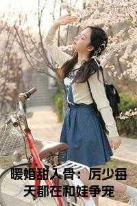 暖婚甜入骨:厉少每天都在和娃争宠小说完整