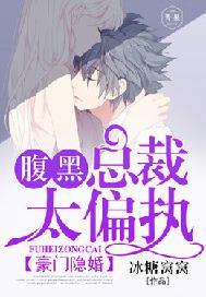 豪门隐婚:腹黑总裁太偏执