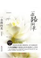 一念路向北(刘恺威主演电视剧原著)