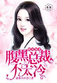 暖爱娇妻:腹黑总裁不太冷