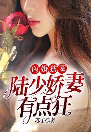 闪婚独宠:陆少娇妻有点狂
