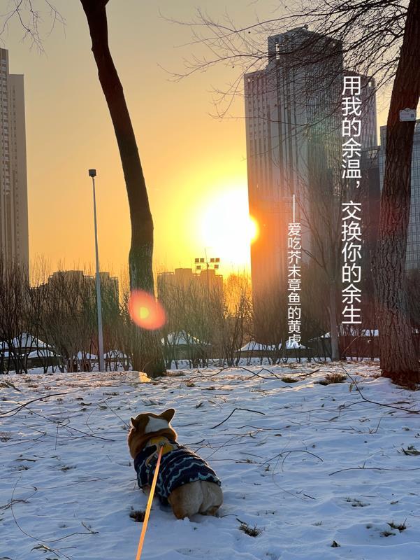 用我的余温,交换你的余生