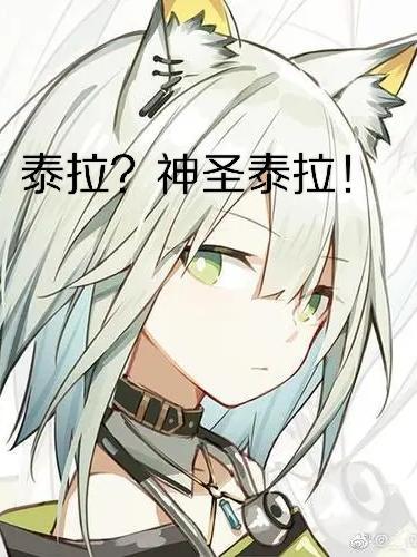 泰拉?神圣泰拉!